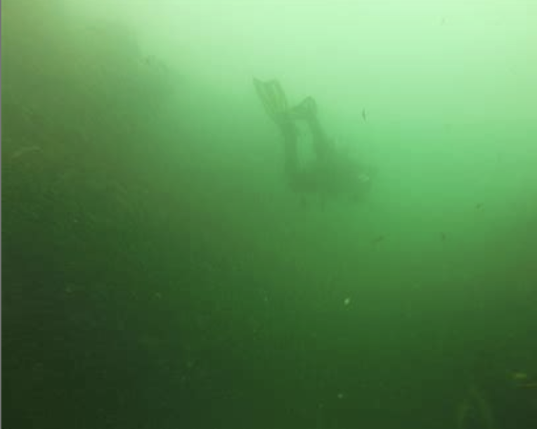 Scuba diver underwater